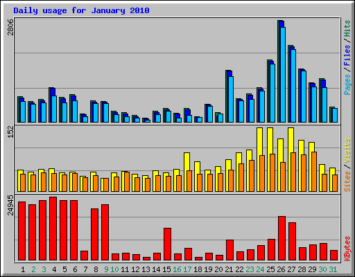 Daily usage for January 2010