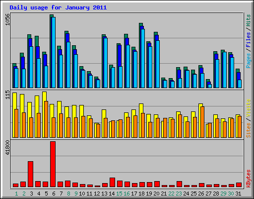 Daily usage for January 2011