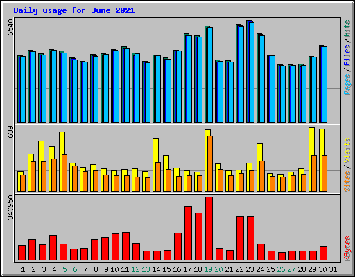 Daily usage for June 2021