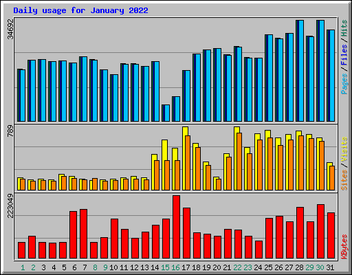 Daily usage for January 2022