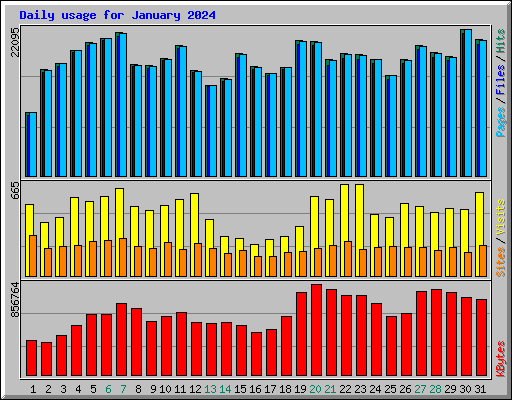 Daily usage for January 2024