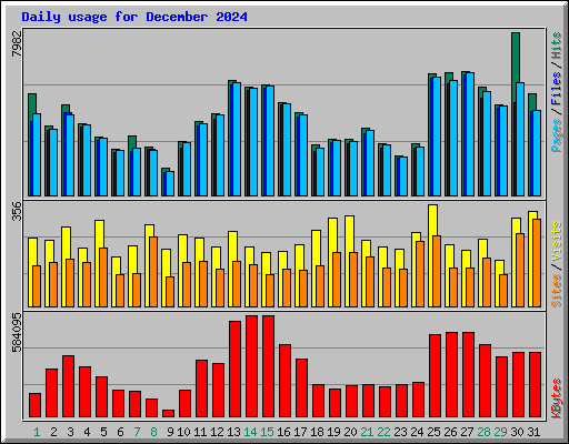 Daily usage for December 2024