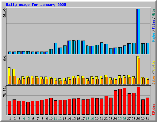 Daily usage for January 2025