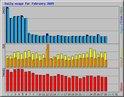 Daily usage for February 2025