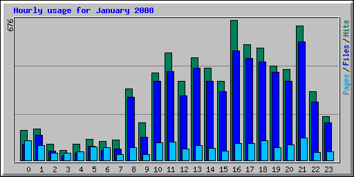 Hourly usage for January 2008