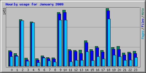 Hourly usage for January 2009