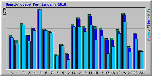 Hourly usage for January 2010