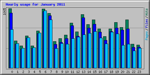 Hourly usage for January 2011