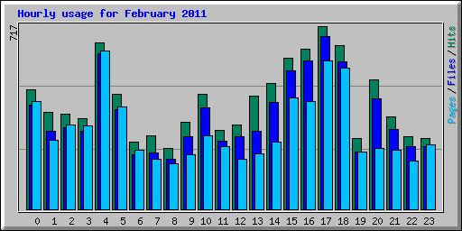 Hourly usage for February 2011