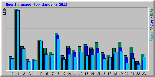 Hourly usage for January 2012