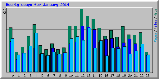 Hourly usage for January 2014