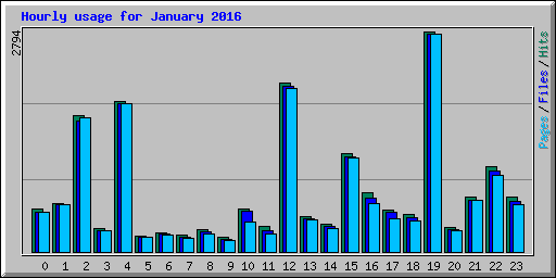 Hourly usage for January 2016