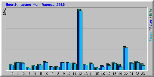 Hourly usage for August 2016