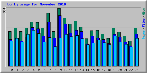 Hourly usage for November 2016