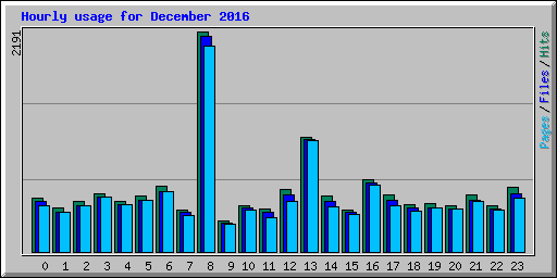 Hourly usage for December 2016