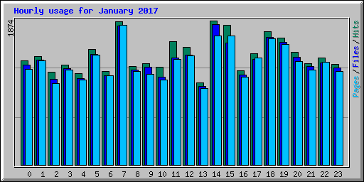 Hourly usage for January 2017