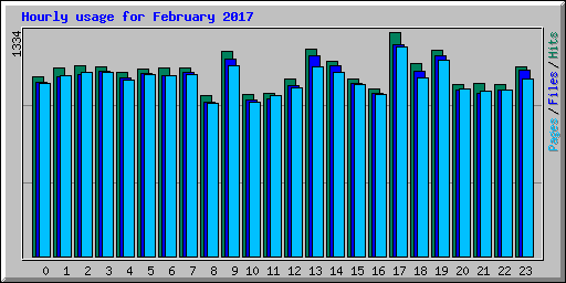 Hourly usage for February 2017