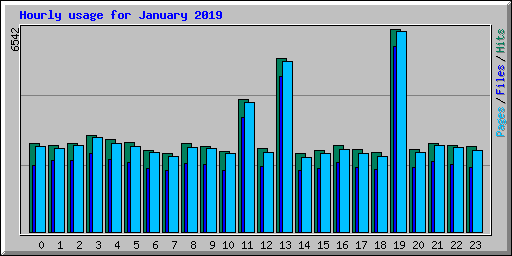 Hourly usage for January 2019