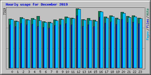 Hourly usage for December 2019