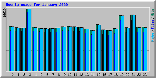 Hourly usage for January 2020