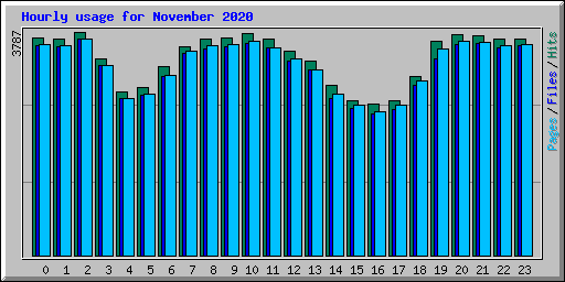 Hourly usage for November 2020