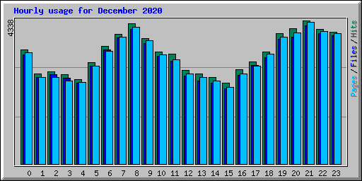 Hourly usage for December 2020