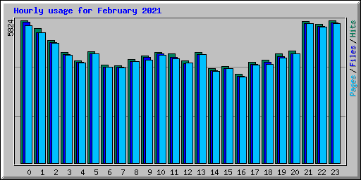 Hourly usage for February 2021