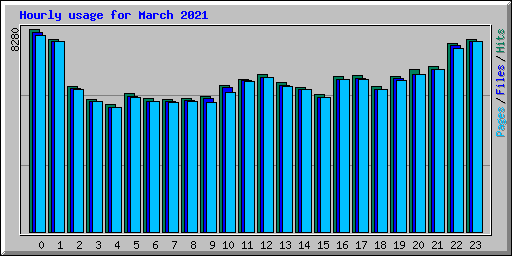 Hourly usage for March 2021