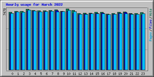 Hourly usage for March 2022