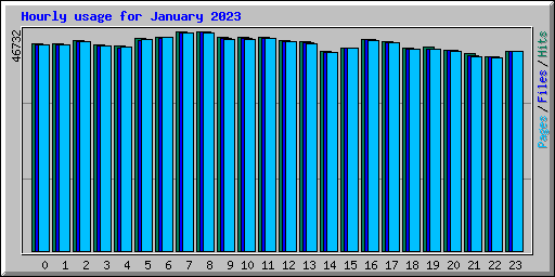 Hourly usage for January 2023