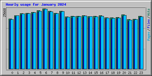 Hourly usage for January 2024