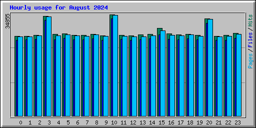 Hourly usage for August 2024