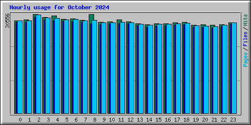 Hourly usage for October 2024