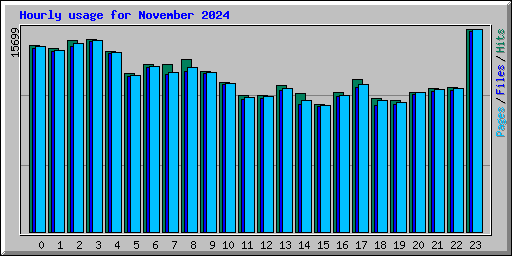 Hourly usage for November 2024
