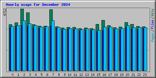 Hourly usage for December 2024