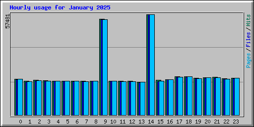 Hourly usage for January 2025