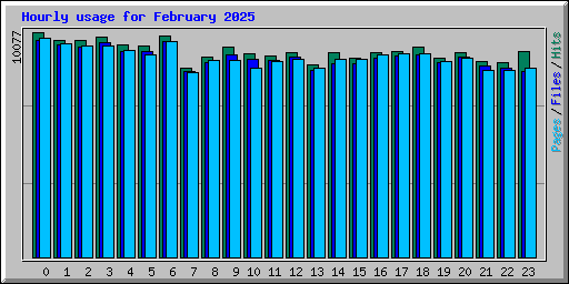 Hourly usage for February 2025