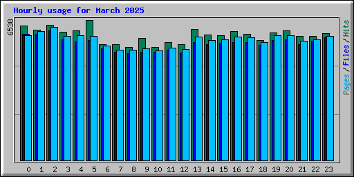 Hourly usage for March 2025