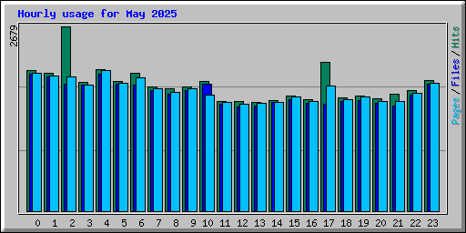Hourly usage for May 2025