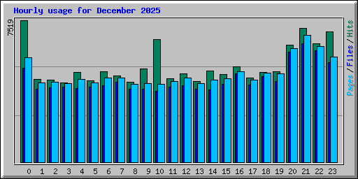 Hourly usage for December 2025