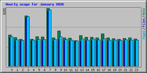 Hourly usage for January 2026