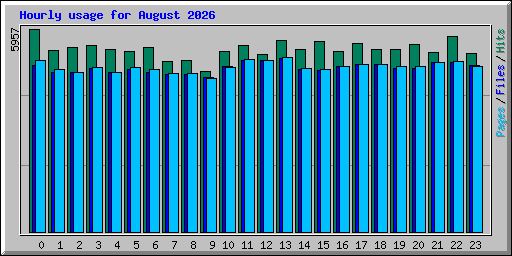 Hourly usage for August 2026